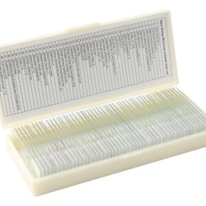 50pcs/set Amostra De Vidro Biológico Preparado Animal Básico