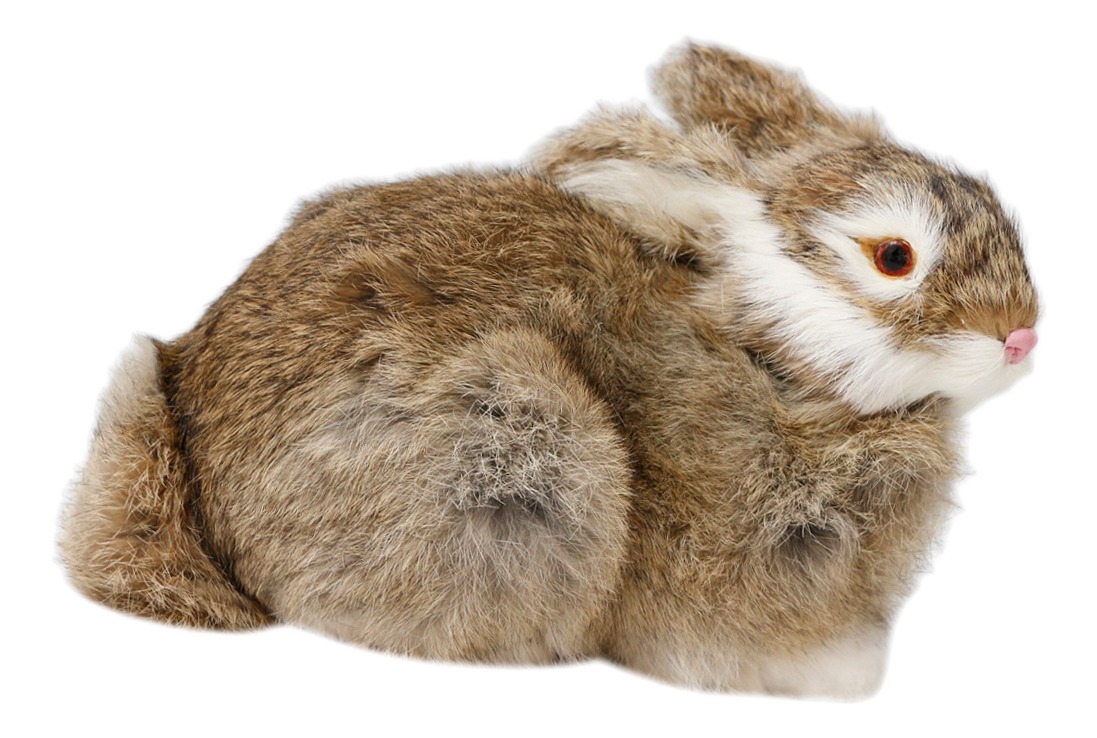 Pelúcia De Coelhos Realistas Modelo De Simulação 22cm - Imagem 26