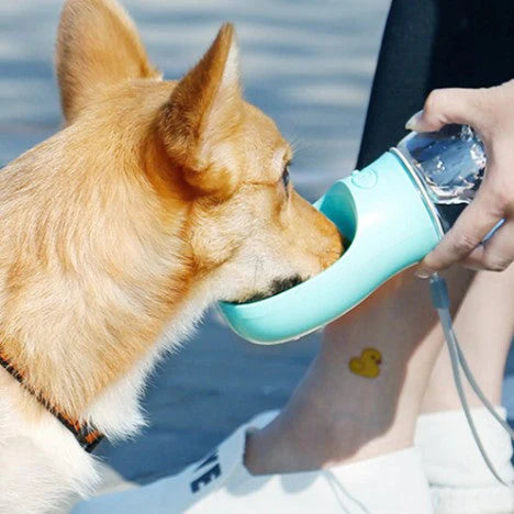 Garrafa Portátil para Pets 4 em 1 - PetWater - Imagem 9