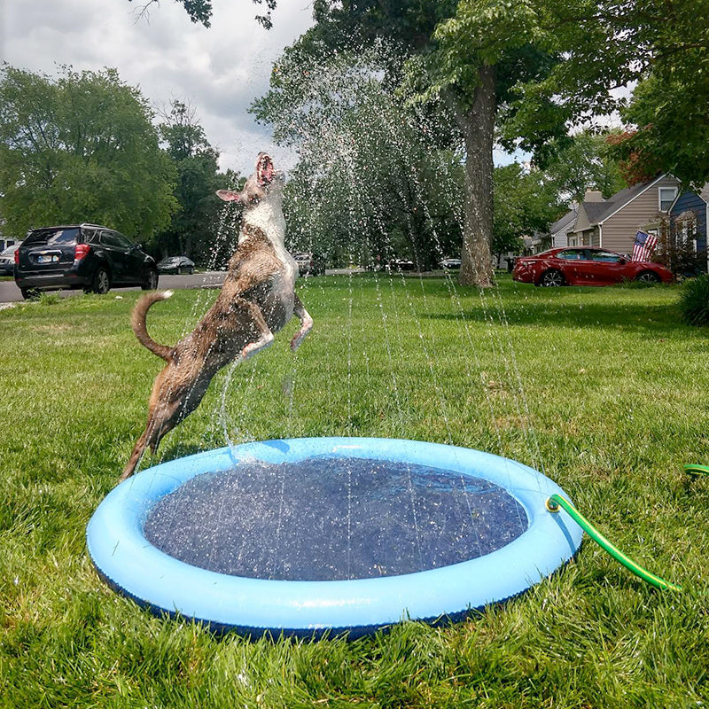 Piscina Inflável para Pets - Imagem 4