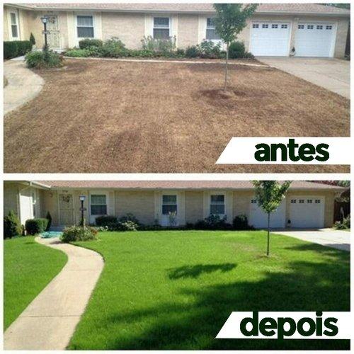 EasyGrow - Verde Exuberante - Imagem 5