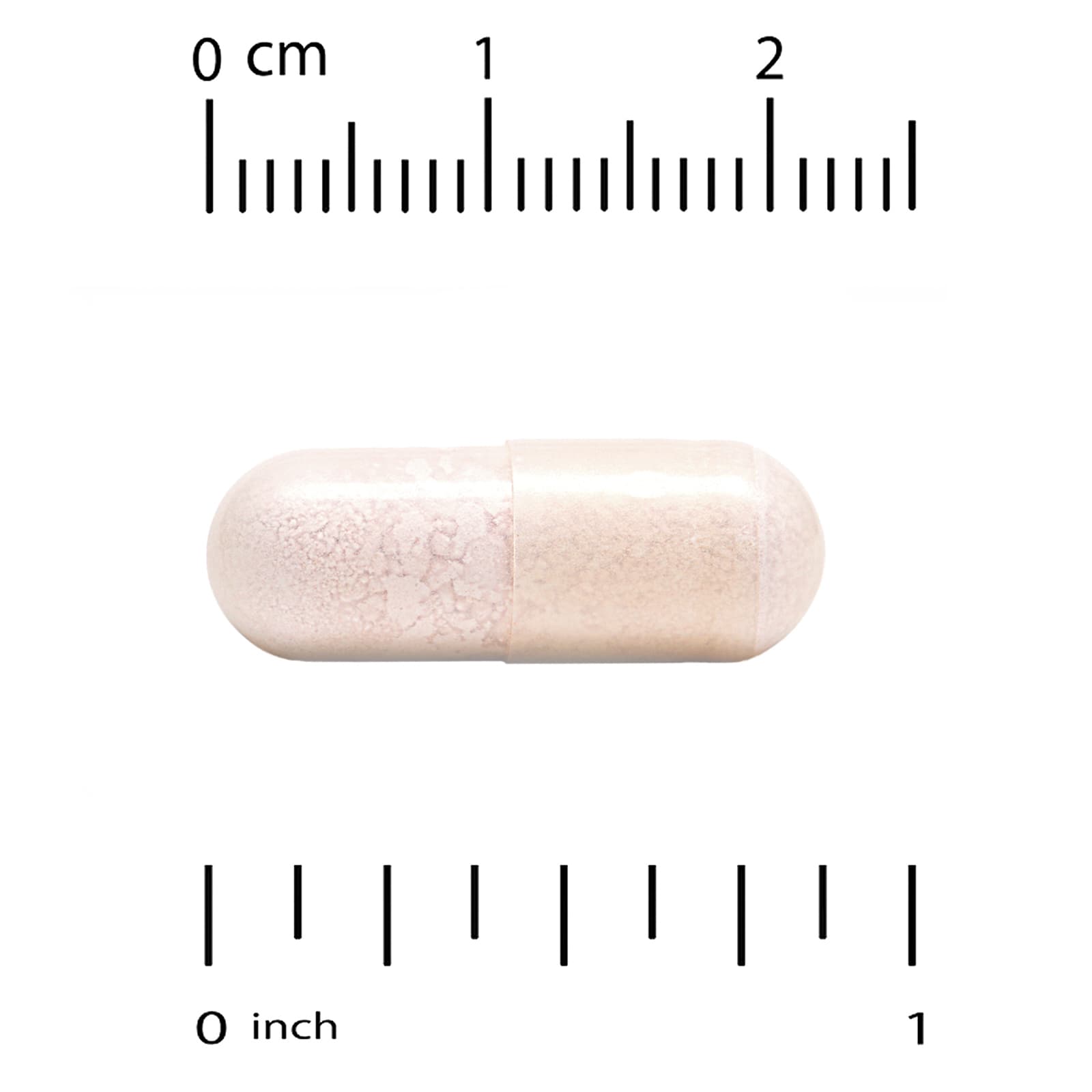 California Gold Nutrition, Probióticos com Lactobacillus acidophilus, Bifidobacterium lactis, Lactobacillus plantarum, and Lactobacillus casei, Mistura de 10 Estirpes, 25 Bilhões de UFCs, 60 Cápsulas Vegetais - Imagem 4