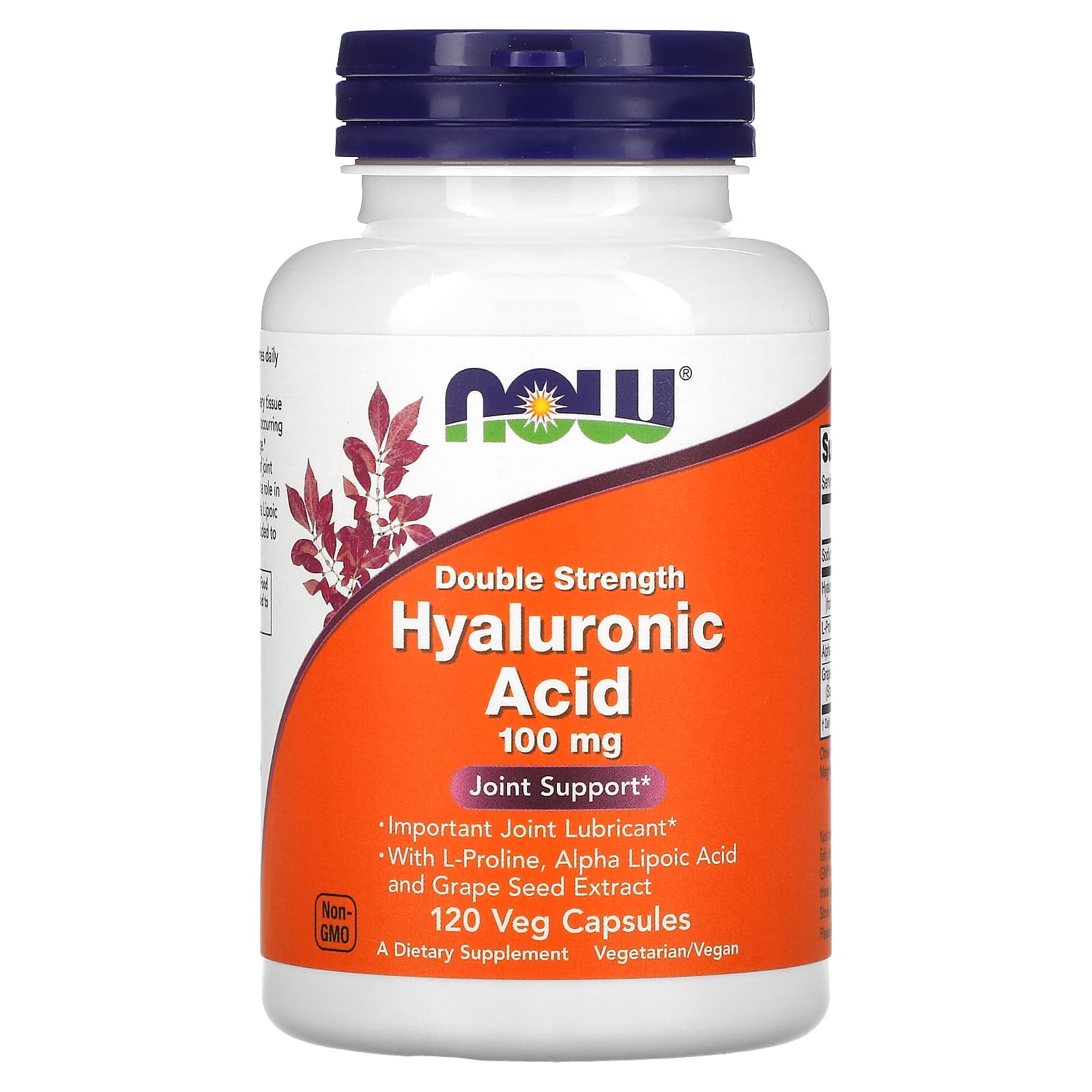 NOW Foods, Ácido Hialurônico, 100 mg, 120 Cápsulas Vegetais
