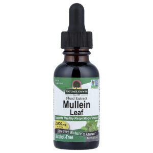 Nature's Answer, Folha de Verbasco, Extrato Fluido, Sem Álcool, 2.000 mg, 30 ml (1 fl oz)