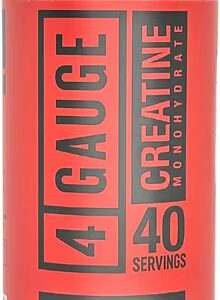 Creatina Monohidratada Fruit Blast 4 Gauge - 40 Porções