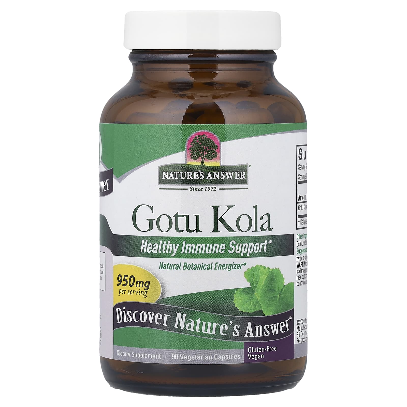 Nature's Answer, Gotu Kola, 90 Cápsulas Vegetarianas (475 mg por Cápsula) - Imagem 3