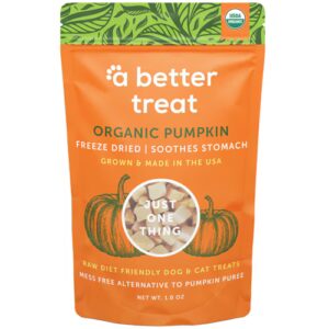 A Better Treat Dog & Cat Treats Freeze Dried Organic Pumpkin -- 1 oz