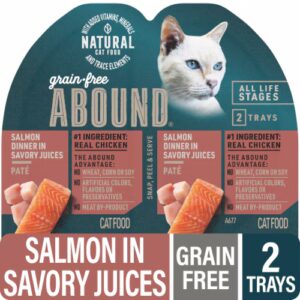 Ração úmida para gatos Abound Grain Free com patê de salmão - 2,6 oz