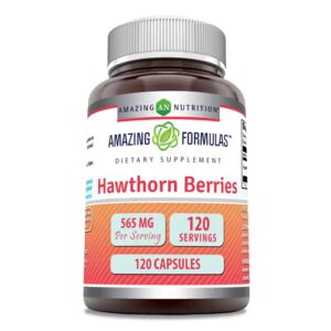 Frutos de espinheiro Amazing Nutrition - 565 mg - 120 cápsulas