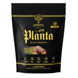 Barra de chocolate com caramelo e proteína vegetal Ambrosia Planta - 14 porções