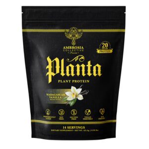 Ambrosia Planta Proteína Vegetal Baunilha de Madagascar - 14 Porções
