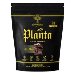 Ambrosia Planta Proteína Vegetal Chocolate Derretido - 14 Porções