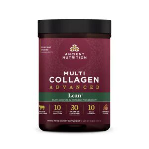 Pó Avançado de Multicolágeno da Ancient Nutrition - Canela Magra - 25 Porções