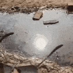 Óculos de Sol Militar Polarizado Super Vision
