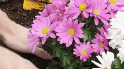 Broca Espiral para Jardinagem