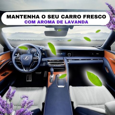 Removedor De Manchas para Carros - Car Cleaner