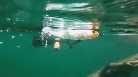 Kit Iscas Artificiais Realistas Para Pesca ProFish
