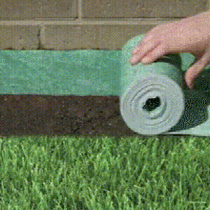 Gif-3-2
