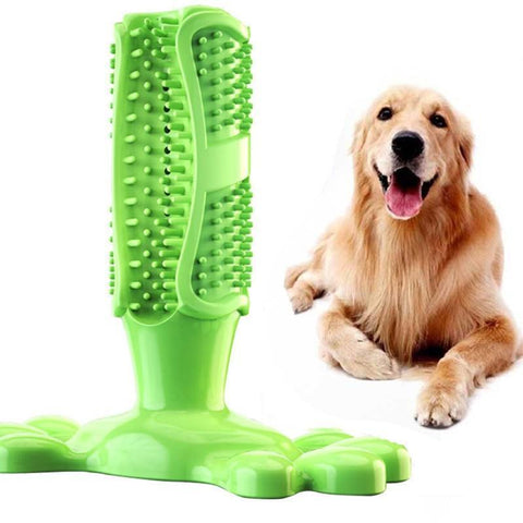 escovação de cachorro, escova de dentes para cães, higiene cachorro, higiene animal, escova de dente para cachorro, cuidado animal, brinquedo dental cachorro