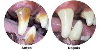Mordedor e Escova de dentes para Cães