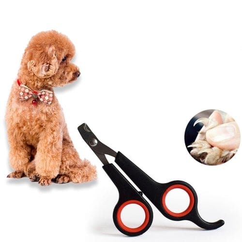cortador de unha profissional para gato, cortador de unha pra gato, cortador de unha para cachorro grande, cortador de unha de cachorro profissional