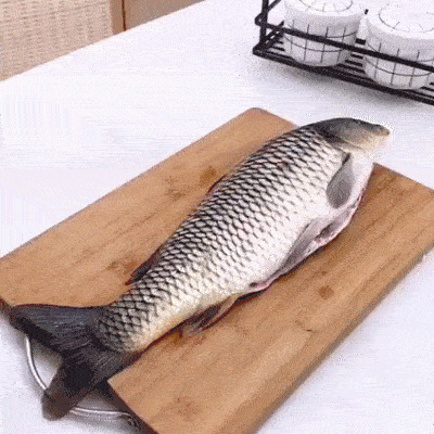 removedor de escama de peixe, tirar escama de peixe, remover escama de peixe, removedor de escama para peixe, como tirar escama de peixe